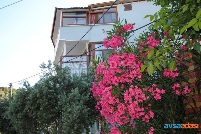 Saray Pansiyon Avsa 1