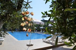 Afissia Garden Otel Yiğitler