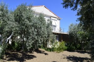 Bozyiğit Apart Yiğitler