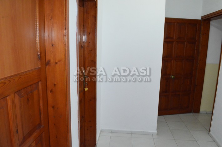 deniz yildizi apart 20