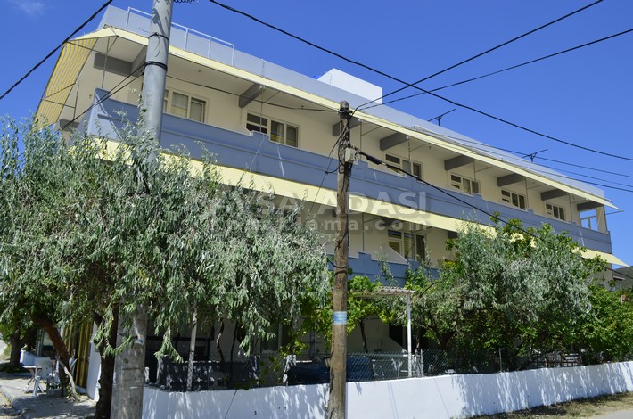 Golden Apart golden apart avsa 2