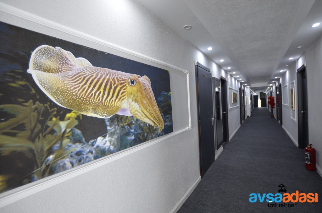 Grand avsa beach otel 19