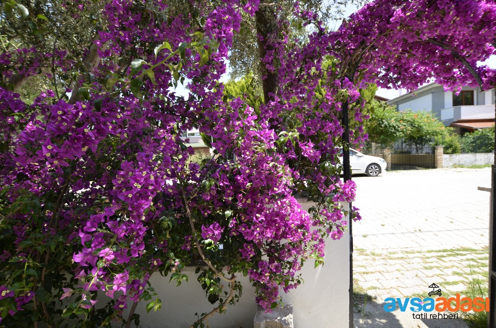 saray apart avsa adasi 39