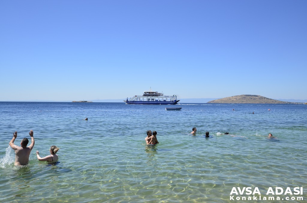 avşa adası feribot fiyatları