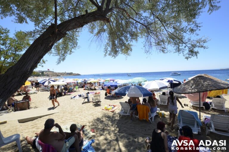 Avşa Adası Plaj Ücretleri 2026 – Güncel Tarife
