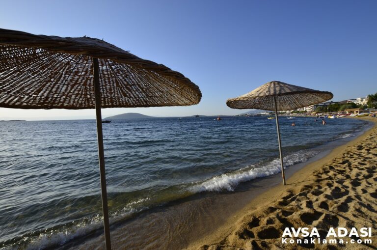 Avşa Adası Hava Durumu 2026 (MGM Onaylı)