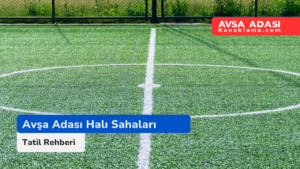 Avşa Adası Halı Sahaları