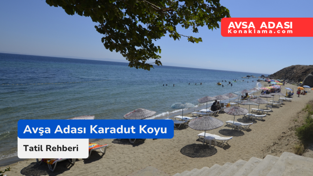 Avşa Adası Karadut Koyu Plajı