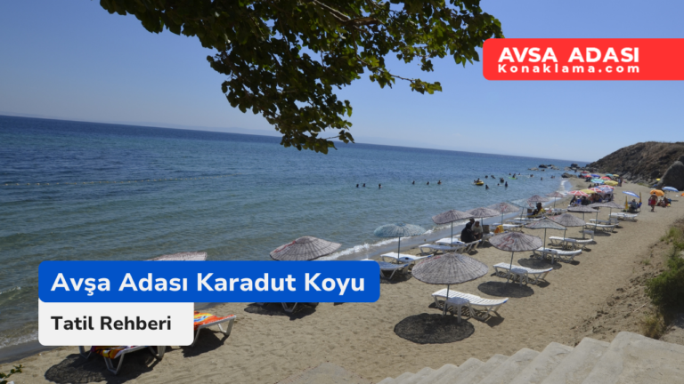 Avşa Adası Karadut Koyu Plajı