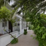 Ayşegül Apart Yiğitler