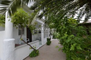 Ayşegül Apart Yiğitler