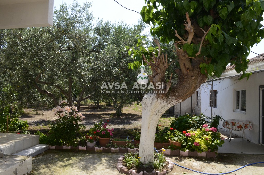 berfu apart yigitler 9