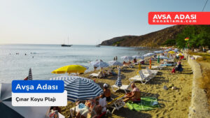 Avşa Adası Çınar Koyu