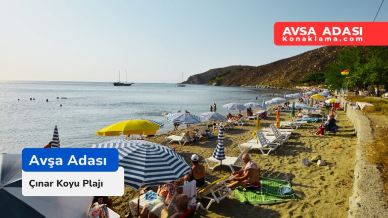 Avşa Adası Çınar Koyu